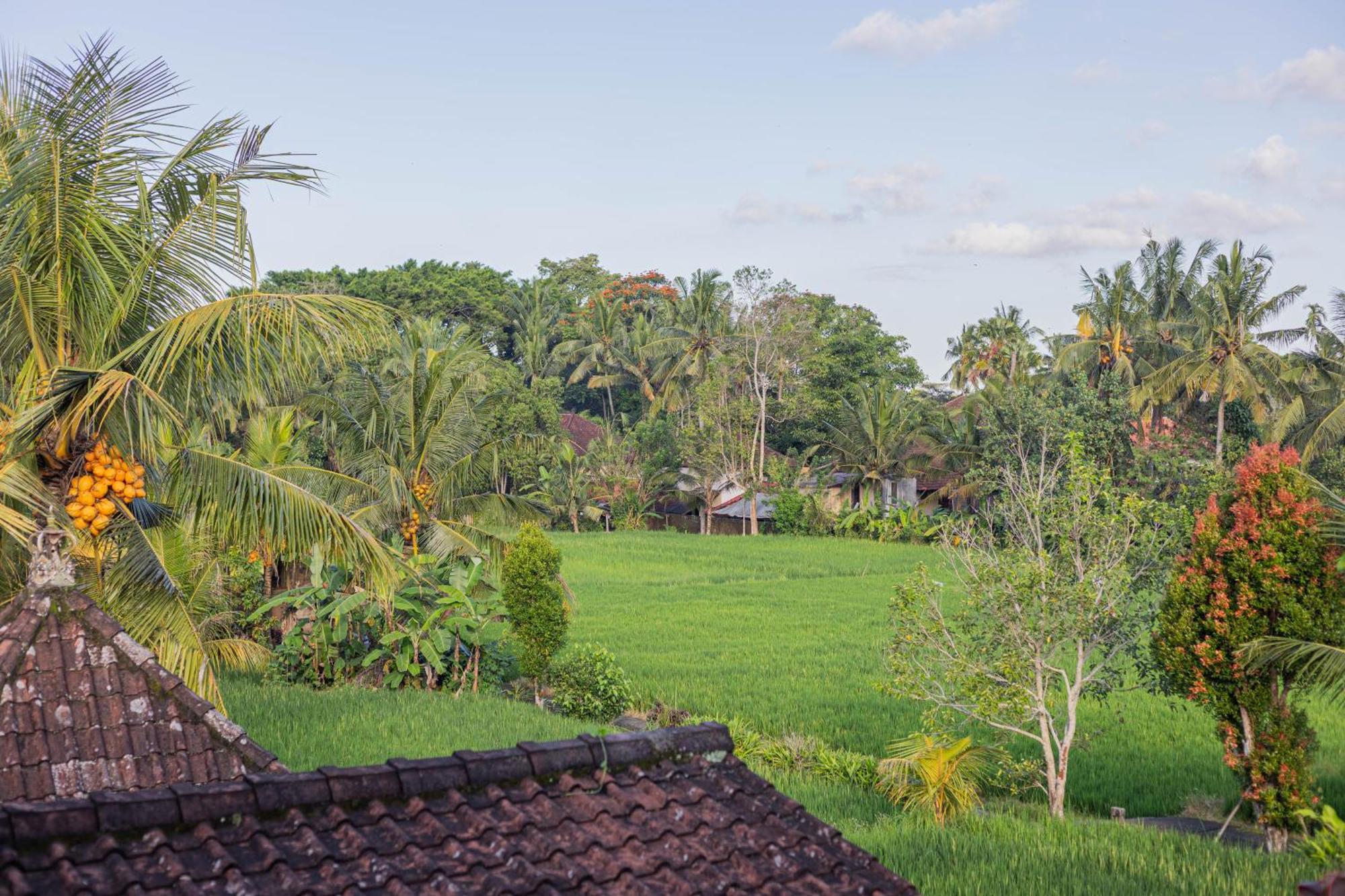 Sari Bamboo Bungalows อูบุด ห้อง รูปภาพ